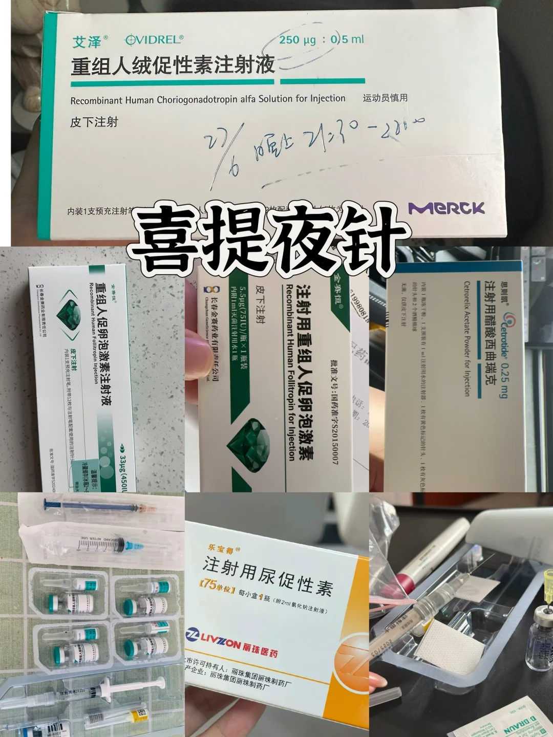 广州助孕咨询公司：双子星助孕服务